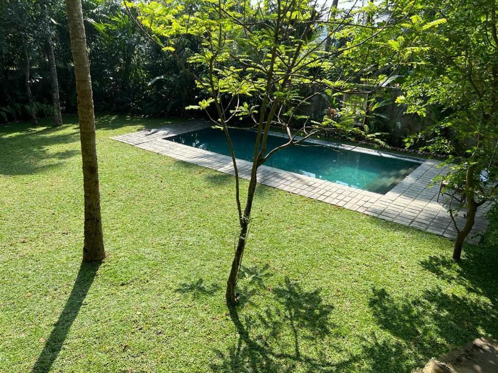 Niketh Villa Kandy Dış mekan fotoğraf